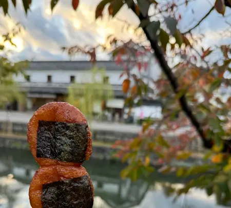 倉敷美観地区の写真・動画_image_657161