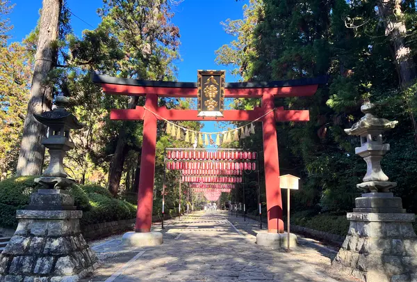大崎八幡宮の写真・動画_image_657209