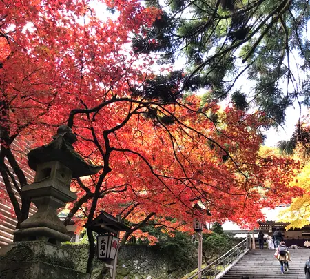 大雄山最乗寺の写真・動画_image_657353