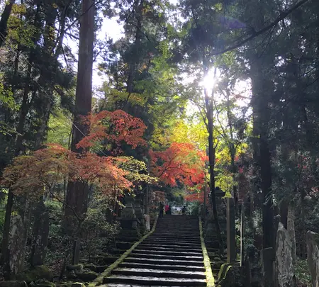 大雄山最乗寺の写真・動画_image_657354