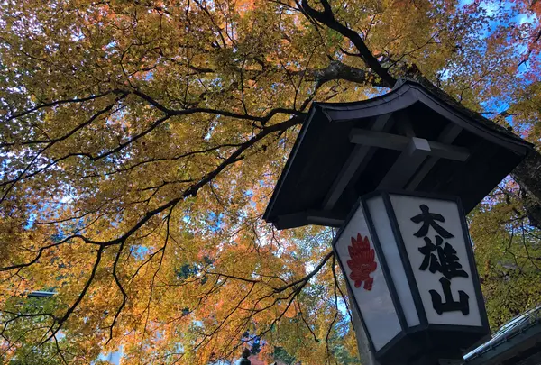 大雄山最乗寺の写真・動画_image_657355