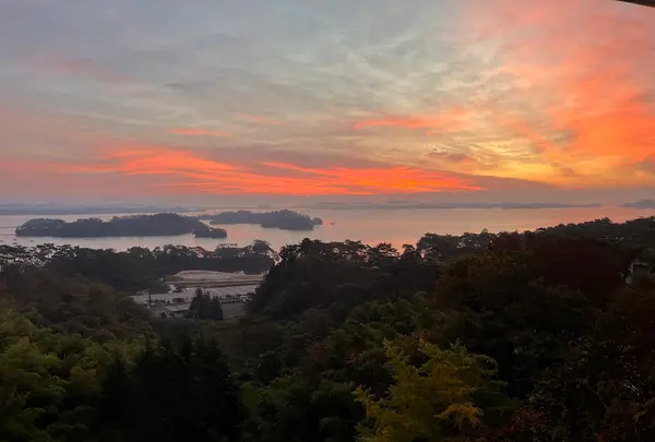 ホテル松島 大観荘の写真・動画_image_657957