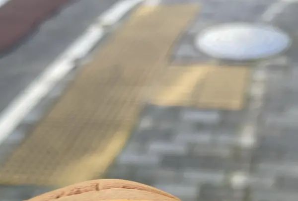 杉乃屋の写真・動画_image_658209