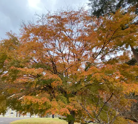 宮沢賢治童話村の写真・動画_image_658984