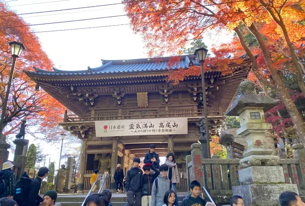 高尾山薬王院（有喜寺）の写真・動画_image_658987
