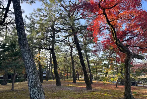 建仁寺の写真・動画_image_659193