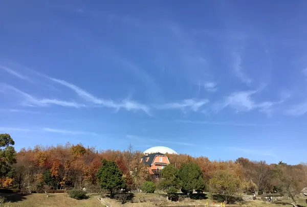 ジブリパーク ジブリの大倉庫の写真・動画_image_659312