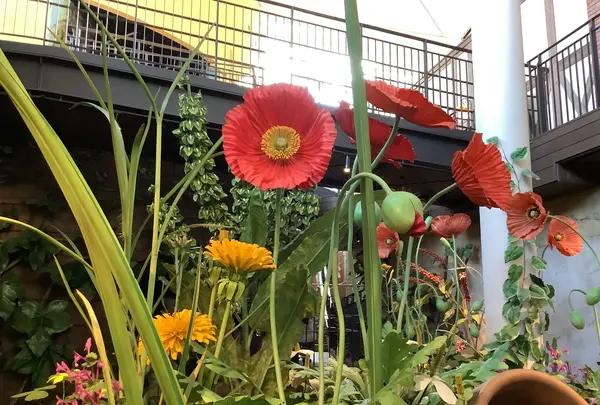 ジブリパーク ジブリの大倉庫の写真・動画_image_659324