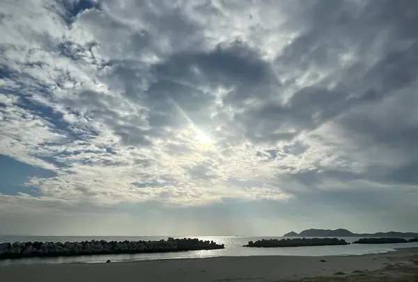 黒山（バス）の写真・動画_image_659960