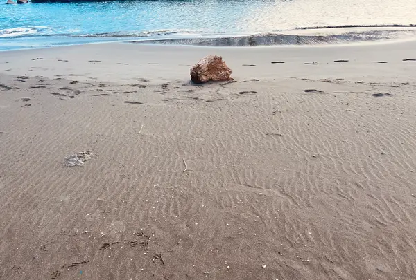 黒山（バス）の写真・動画_image_659961