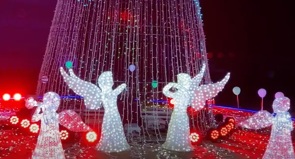 ときわ公園の写真・動画_image_660168