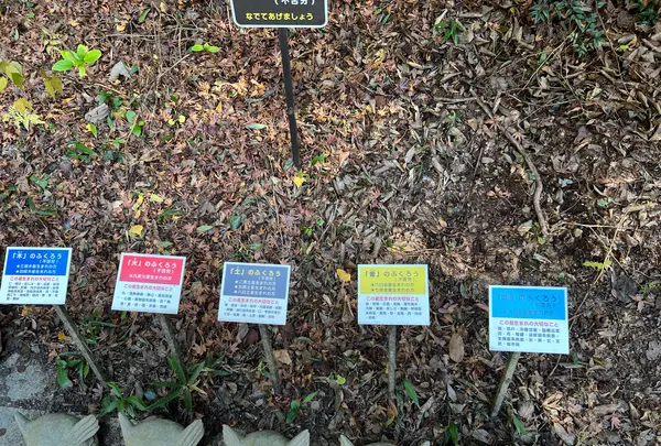 鷲子山上神社の写真・動画_image_660292