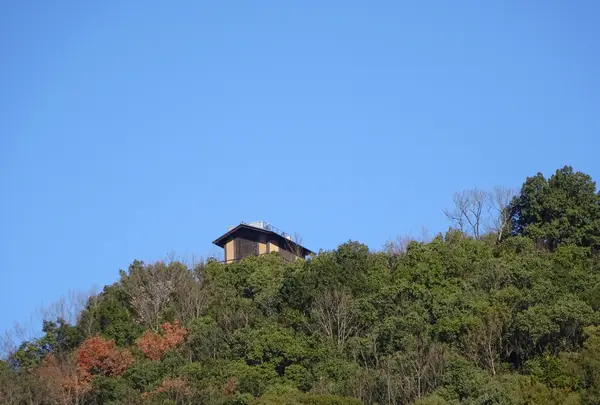 安桜山公園の写真・動画_image_660310