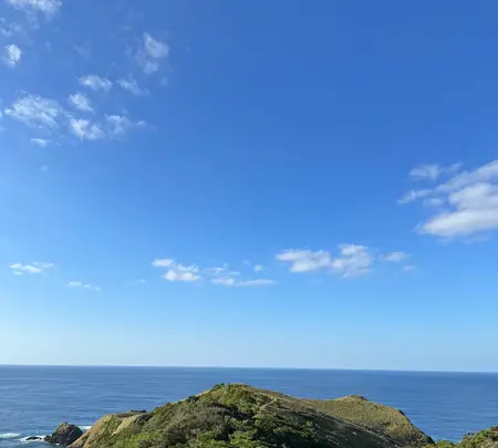 宮古崎の写真・動画_image_660432