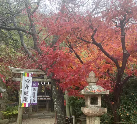 北野天満神社の写真・動画_image_660644
