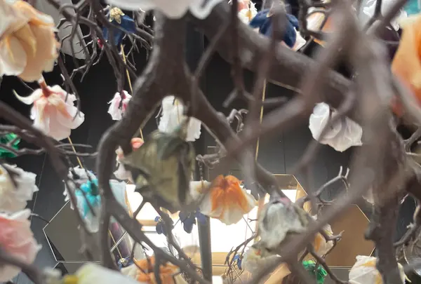 うろこの家・うろこ美術館の写真・動画_image_660652