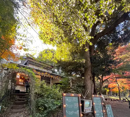 ブルースカイコーヒーの写真・動画_image_660853
