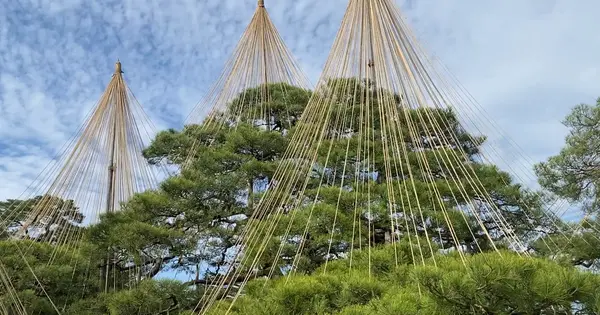 兼六園の写真・動画_image_661113