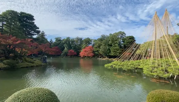 兼六園の写真・動画_image_661115