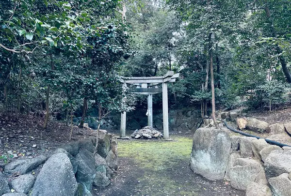 木嶋坐天照御魂神社（蚕ノ社）の写真・動画_image_663052