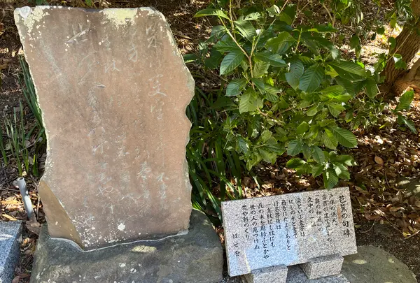 清源院の写真・動画_image_663683