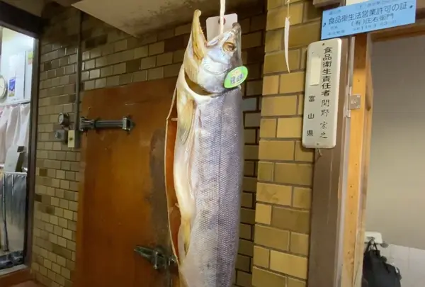 元祖関野屋 鱒寿しの写真・動画_image_664040