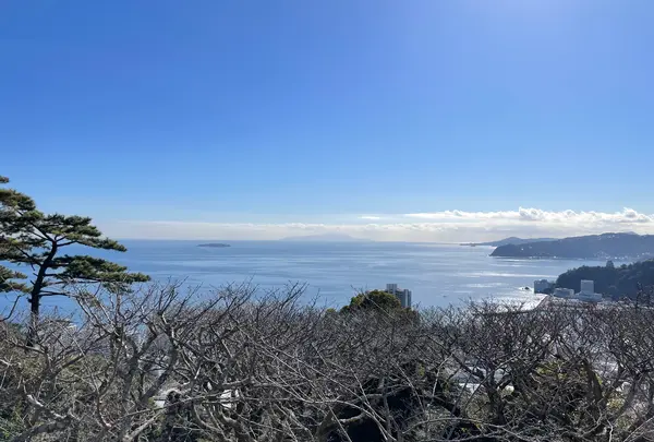 MOA美術館の写真・動画_image_664141