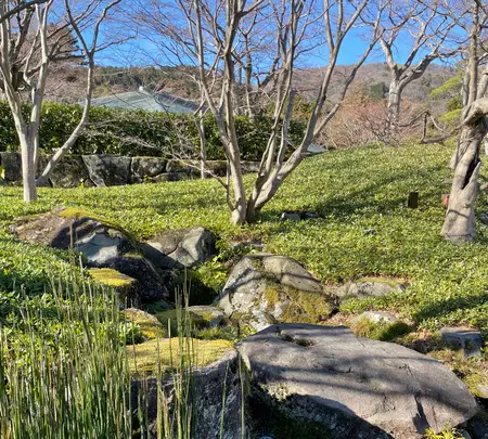 和食 花の茶屋の写真・動画_image_664147