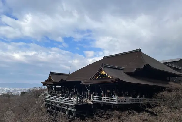 清水寺の写真・動画_image_664306