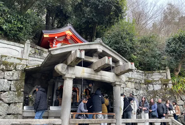 清水寺の写真・動画_image_664307