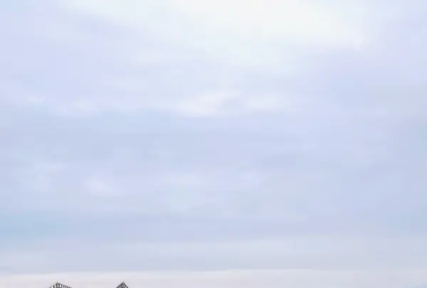 水橋フィッシャリーナの写真・動画_image_664819