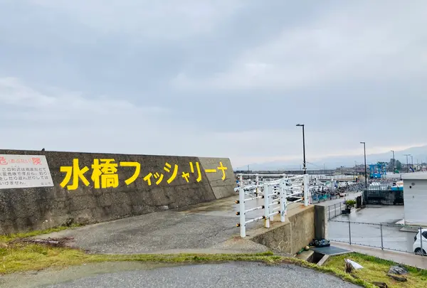 水橋フィッシャリーナの写真・動画_image_664821