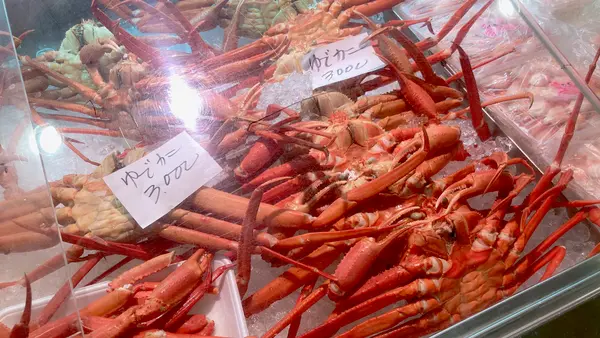 しんきろうロードの写真・動画_image_664844