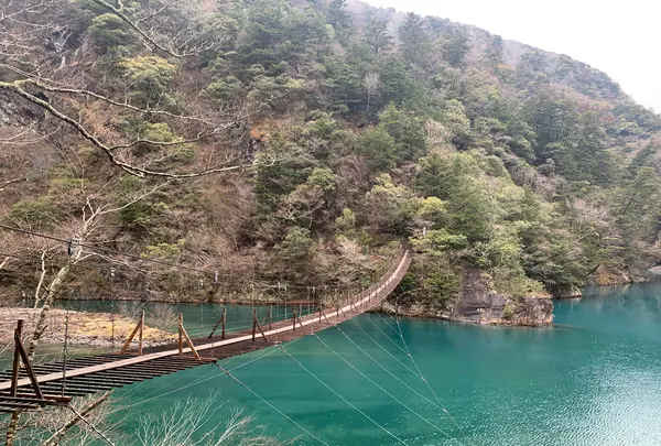 夢の吊橋の写真・動画_image_667297