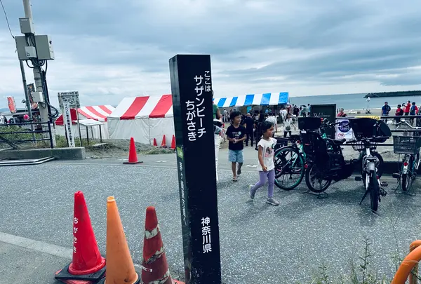 茅ヶ崎サザンCの写真・動画_image_667578