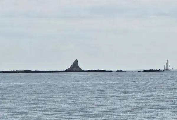 姥島の写真・動画_image_667579
