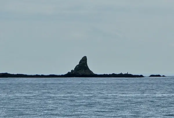 姥島の写真・動画_image_667580