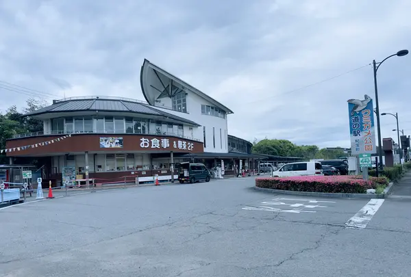 道の駅紀宝町ウミガメ公園の写真・動画_image_667590
