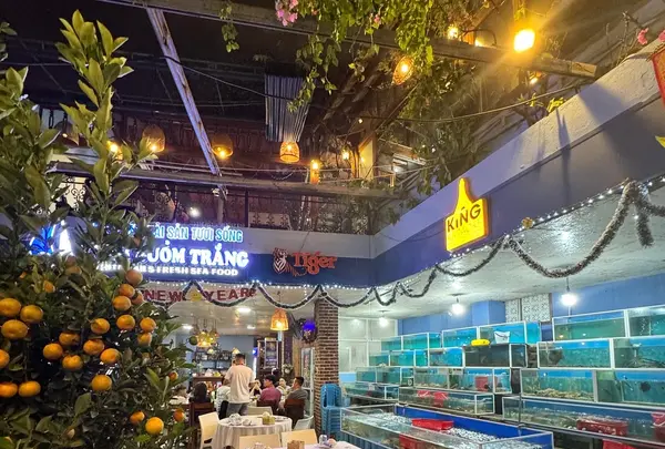 Nhà hàng Cánh Buồm Trắng - White Sails restaurant - Nhà hàng hải sản Hội An - 호이안 특산품 - ホイアンの名物料理の写真・動画_image_667975
