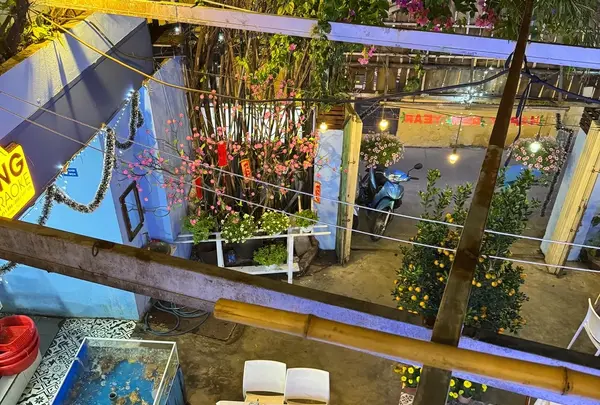 Nhà hàng Cánh Buồm Trắng - White Sails restaurant - Nhà hàng hải sản Hội An - 호이안 특산품 - ホイアンの名物料理の写真・動画_image_667977