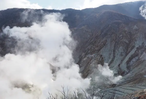 大涌谷の写真・動画_image_668112