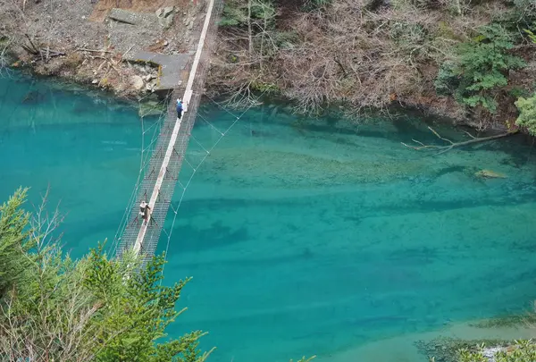 夢の吊橋の写真・動画_image_668117