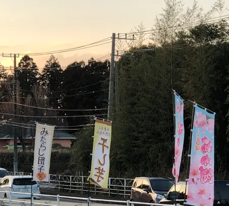 たまご倶楽部の写真・動画_image_668500