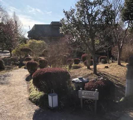 栗のいえ KURINOIEの写真・動画_image_668600