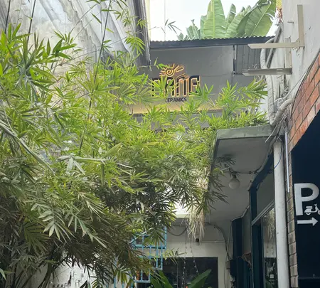 Nắng ceramicの写真・動画_image_668773