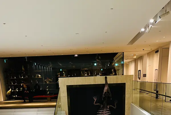 インターメディアテク（INTERMEDIATHEQUE）の写真・動画_image_668840