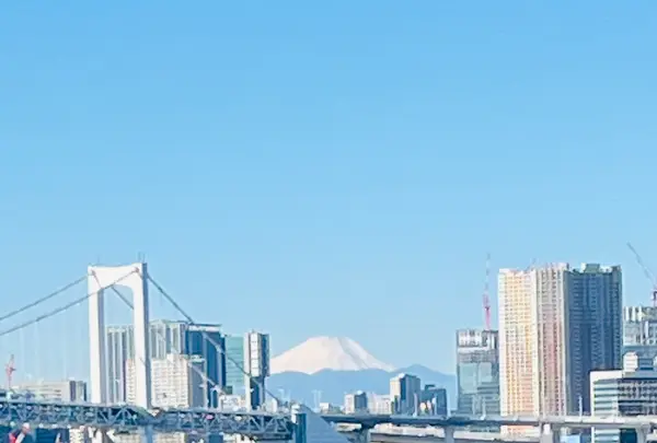 豊洲市場の写真・動画_image_668915