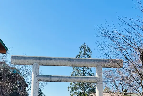 善知鳥神社の写真・動画_image_669589