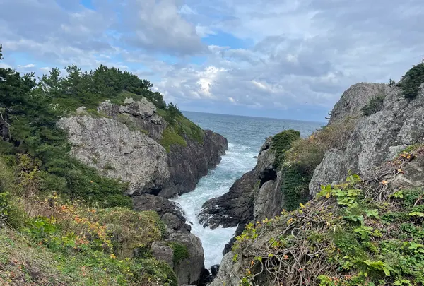 種差海岸の写真・動画_image_669822