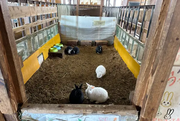 土田牧場の写真・動画_image_670007